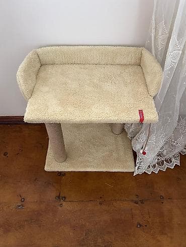 it bazari 2019: Heyvanlar üçün digər mallar — 2