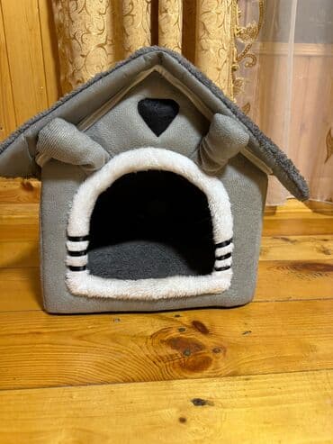 ən şirin pişiklər: Şotland yastı qulaq, Erkək, Yaxşı əllərə, Ünvandan götürmə — 7