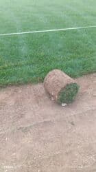 mx group inşaat: Kənd təsərrüfatı, Mülkiyyətçi — 27