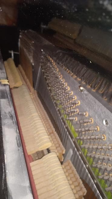 Musiqi alətləri: Belarus (Беларусь) upright piano - Model: Belarus markalı akustik — 2