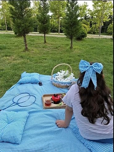 Piknik dəsti – yumşaq doldurmalı, kvadrat naxışlı yaylıq və yastıqlar