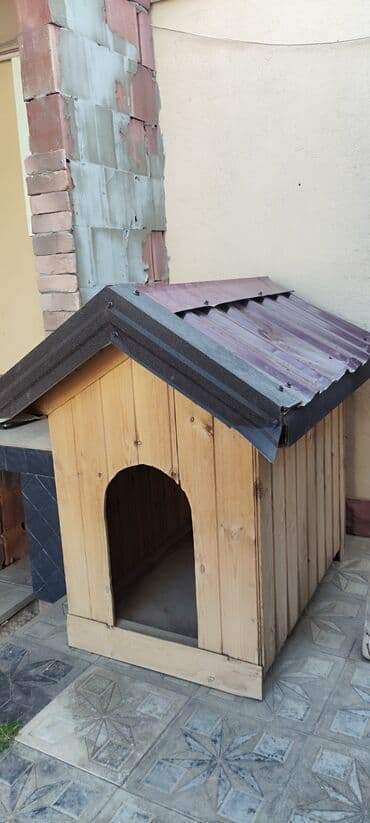 it ucun manej: Geniş və təzədir it üçün — 1