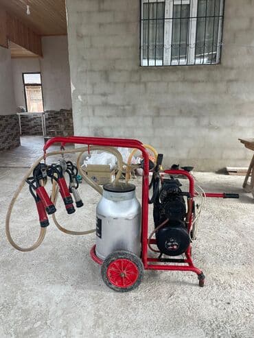 şabalıd aparatı: Tək bidon — 6