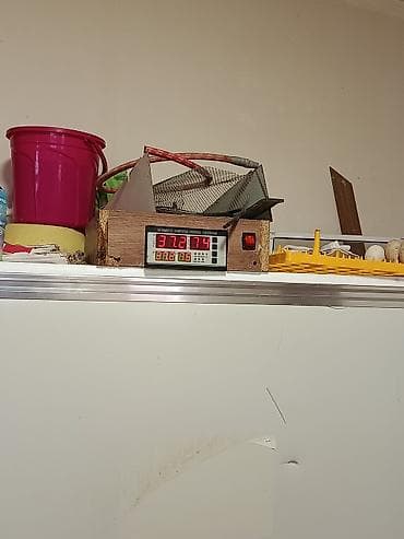 inkubatorlar: 1000 ədəd toyuq yumurtası tutumlu avtomatik inkubator sistemi - Metal — 3