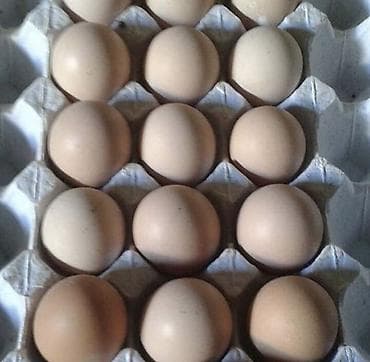 Təbii toyuq yumurtası - Rəng: açıq qəhvəyi qabıqlı - Standart karton