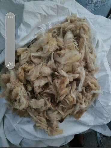 Təbii qoyun yunu - Rəng: açıq krem-bej tonlarında - Forma