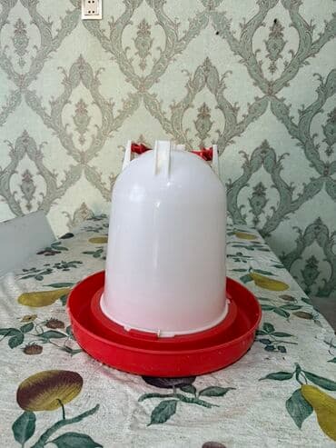 Yem qabı, Su üçün, Heyvanlar üçün