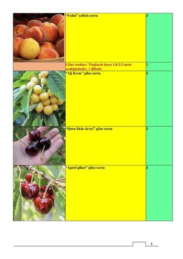 Çöl bitkiləri: Meyvə və dekorativ ağac tingləri Təsvir: - Tərtər rayonu ərazisində — 7