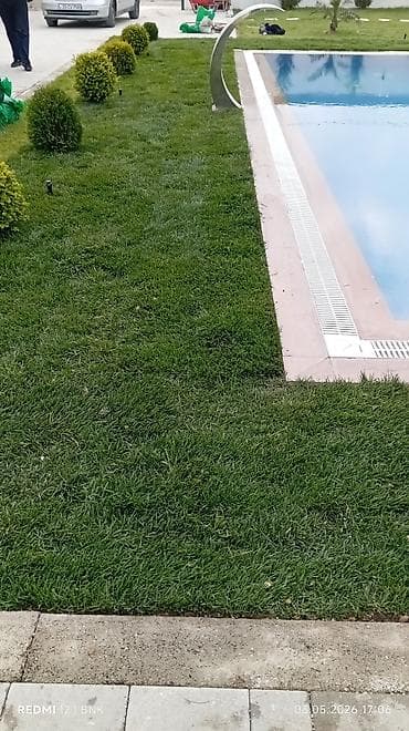 təbii qazon: Abadliq isleri qazon torf agaclar gul cicey bağlarda umumi abadliq — 10