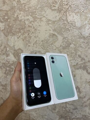 домашний телефон: IPhone 11, 64 ГБ, Зеленый, Face ID — 2