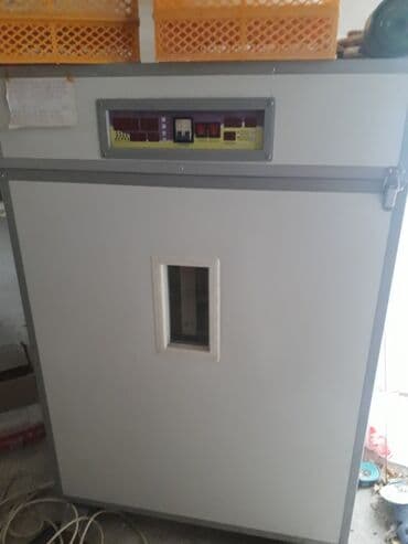 dərman ciləyən aparat: 1100 yumurta, Fabrik istehsalı, Tam avtomat, Bütün növ quşlaq üçün — 1