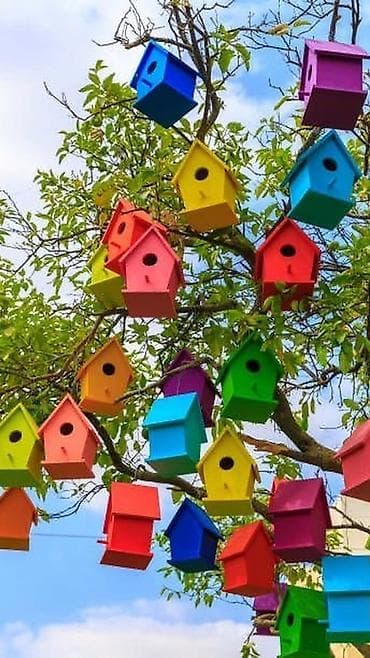 Heyvanlar üçün mallar: Rəngarəng taxta quş yuvaları - Material: möhkəm taxta, hamar — 1