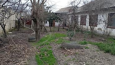 qaxda satilan evler: 4 otaqlı, 16 kv. m, Kredit yoxdur, Orta təmir — 4