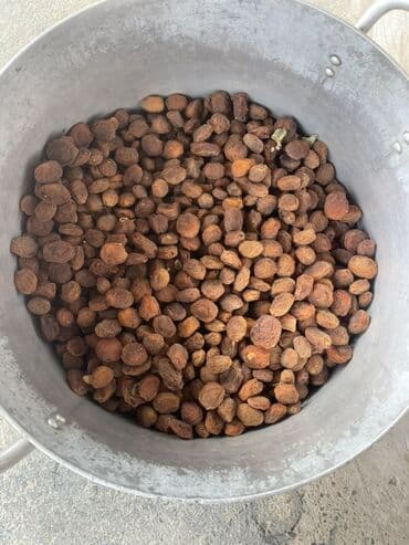 qax meyve qurusu: Qurudulmuş ərik (qaysı) - Təbii günəşdə qurudulmuş bütöv əriklər - — 2