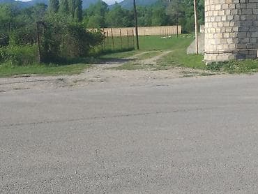 12 sot, Tikinti, Mülkiyyətçi, Kupça (Çıxarış)