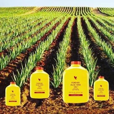 inqalib derman: Təbi̇i̇ aloe vera şi̇rəsi̇ mədə bağirsaq yarasi̇ni̇n şəkər — 1