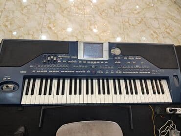 sintezator: Sintezator, Korg, Yeni, Pulsuz çatdırılma — 1