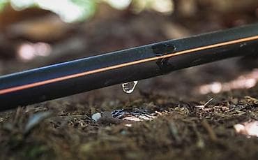 xan cinar agaci satisi: Bağlar üçün damcı suvarma sistemi quraşdırılması Bağınızın daha — 4