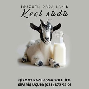 sud separatoru: Keçi südü satlılır. Ünvandan götürmə. Ünvan Novxanı Qiymət: Razılaşma — 1