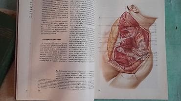 Velosiped ehtiyyat hissələri: Продам книгу "Хирургическая анатомия конечности человека" Москва 1983 — 7