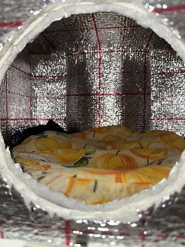heyvan: İzolyasiyalı pişik evi – “MOSI” Özüm hazırlamışam, içerisinin — 2