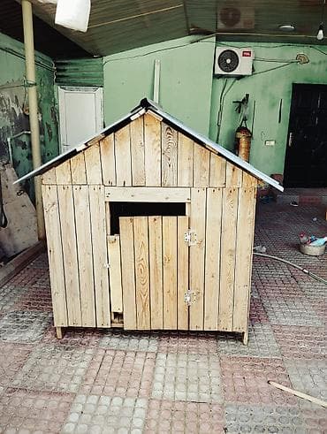 ankara pişiyi: Taxta it evi / dam - Material: təbii taxta lövhələr, möhkəm karkas - — 4