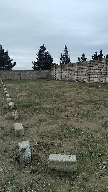 Torpaq: 7 sot, Biznes üçün, Makler, Kupça (Çıxarış) — 1