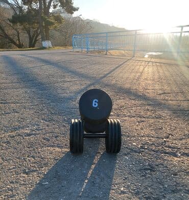 tarix test toplusu 1 ci hisse pdf yuklə: Qantellər, Çəki: 5 kq — 8