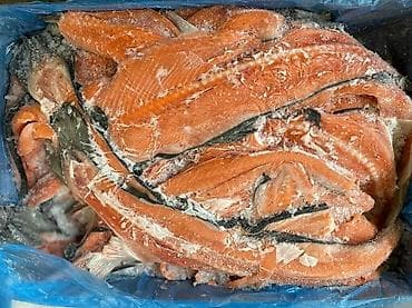 qaz eti: < atlantik qizılbalığı (syomqa) ●karobkaynan satilir!! — 3