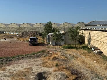 Lexus: 30 sot, Kənd təsərrüfatı — 3