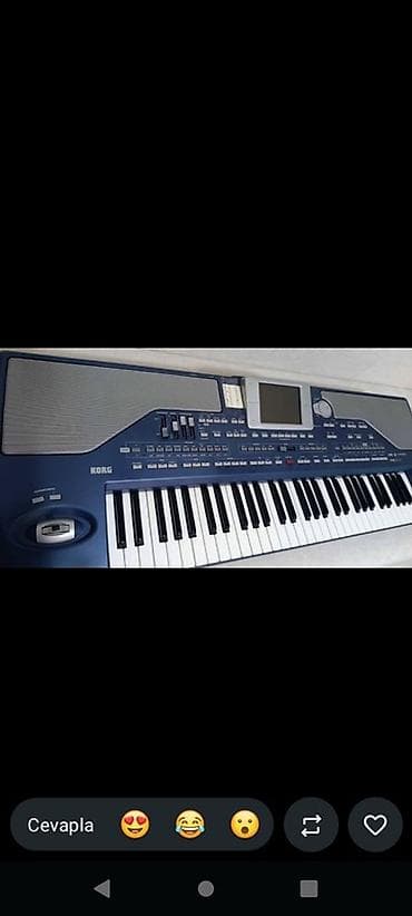 nerd taxta qiymetleri: Korg PA800 603 seri 256 RAM LED EKRAN HEÇ BİR PURABLEMİ YOXDUR barter — 2