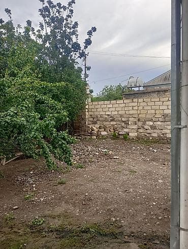 ev ve bag: 3 otaqlı, 150 kv. m, Kredit yoxdur, Orta təmir — 7