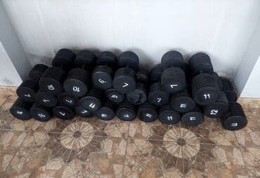 Qantellər, Çəki: 5 kq lalafo.az -da Qantellər, Çəki: 5 kq