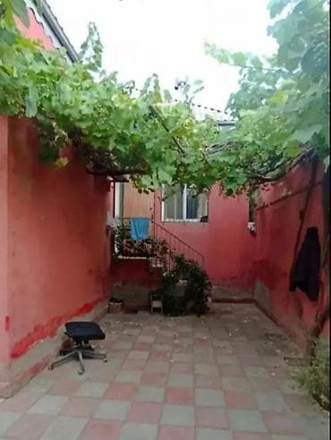 Torpaq: 45 kv. m, 2 otaqlı, Qaz — 2