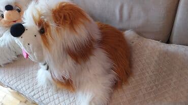 dovşan oyuncaq: Yumşaq oyuncaqlar, dovşan 🐰 15 manat,o birilər 20 manat — 6