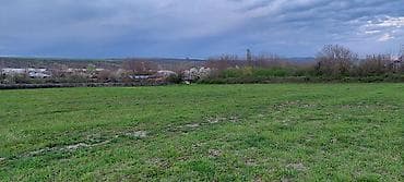 lalafo.az quba: Kənd təsərrüfatı — 8