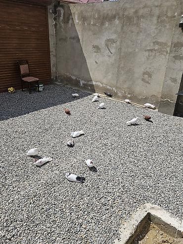 Heyetden leğv etdiyim ücün hamsı bir yerden satılır ünvan masazır