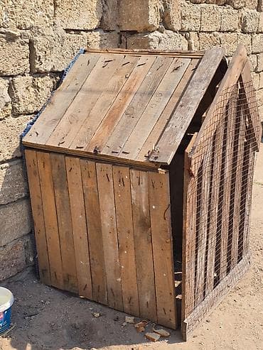 qaban iti: Taxta it evi / qəfəs tipli budka - Material: qalın taxta lövhələr və — 3