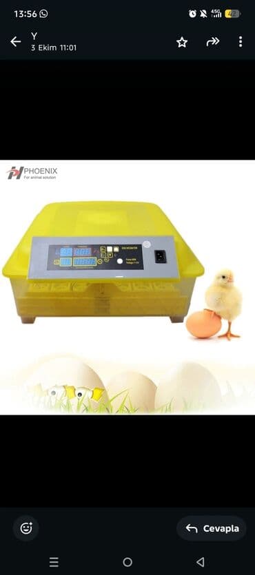 Phoenix yumurta inkubatoru - Rəqəmsal idarəetmə paneli: temperatur və