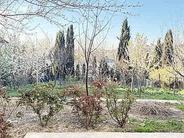 zigda ucuz heyet evleri: Salam olsun hamiya Oz heyetimde 6 sot torpaq sahesi satiram,qaz,su — 3