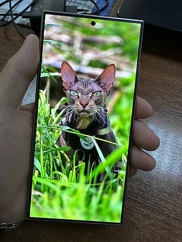 silver et ceken: Samsung Galaxy S24 Ultra, 256 GB, rəng - Gümüşü, Barmaq izi, Simsiz şarj, İki sim kartlı — 4