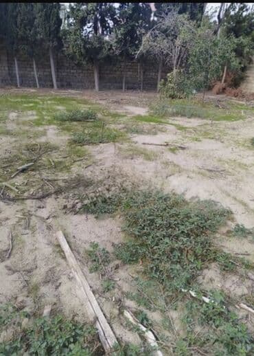 купить участок в бильгя: 3 sot, Tikinti, Mülkiyyətçi, Kupça (Çıxarış) — 1