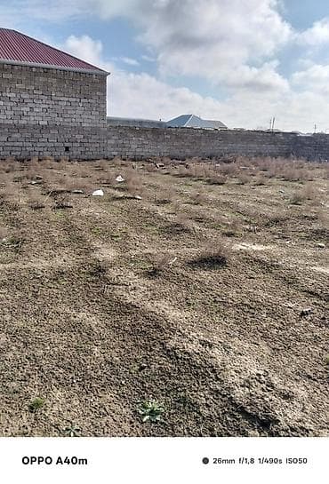 villa insaat mmc: Tikinti — 1