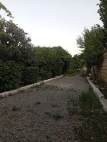 6 sot, Biznes üçün, Mülkiyyətçi, Kupça (Çıxarış) — 7