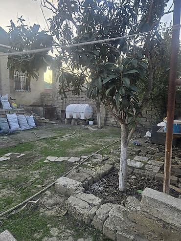 100 kv: 16 sot, Kənd təsərrüfatı, Mülkiyyətçi — 4