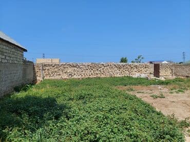 maştağada sot: Tikinti, Mülkiyyətçi, Kupça (Çıxarış) — 3