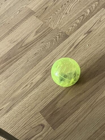 su donuzu: Cücərti rəngli xəzli cırtdan hamster (Djungarian tipli). Kiçik ölçülü — 4