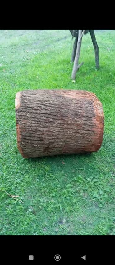 taxta panel: Salam qessablar ücün et kötüyü palıdın satılır ciddi ş m etsin — 1