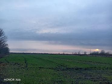 200 sot, Kənd təsərrüfatı, Texniki pasport