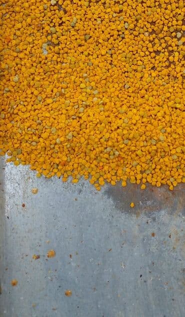 cuce ucun yem qablari: Çiçək tozu (çiçək poleni) Xurma poleni — 2